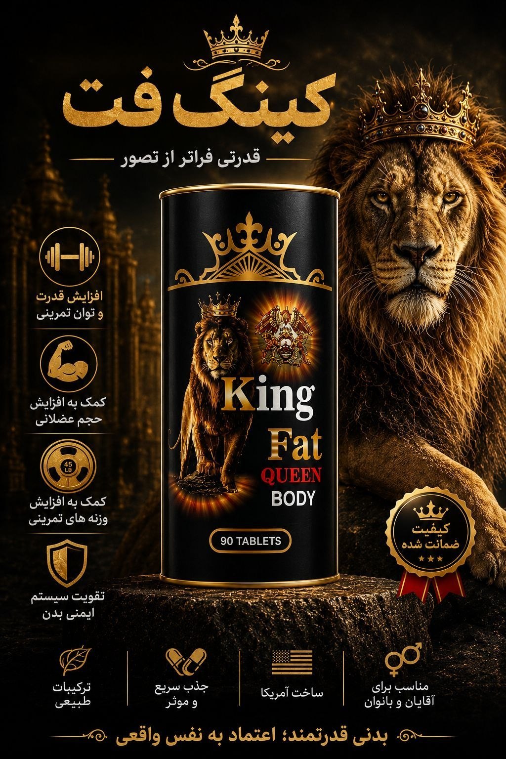قرص کینگ فت